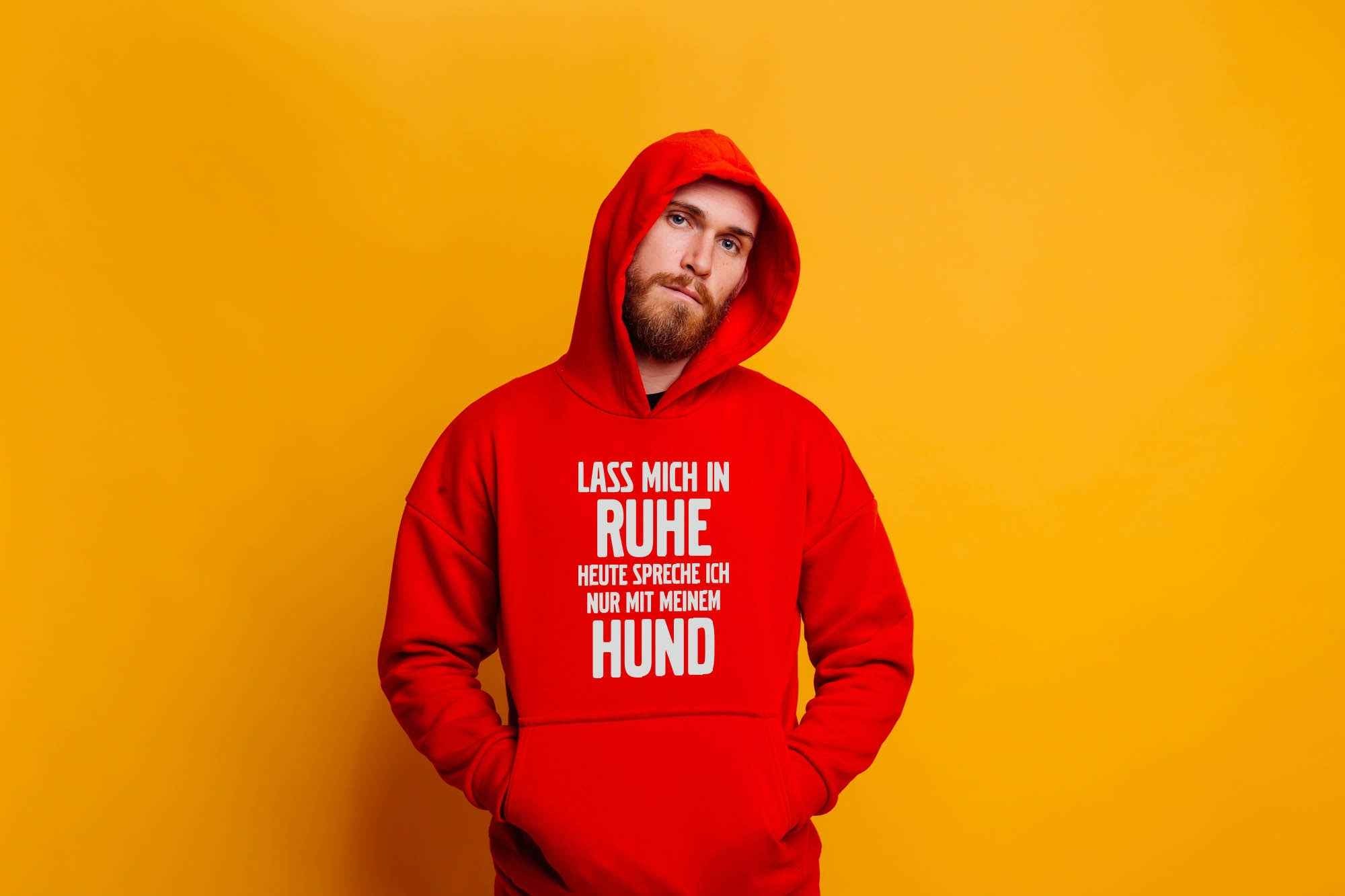 Bügelmotiv - LASS MICH IN RUHE, HEUTE SPRECHE ICH NUR MIT MEINEM HUND