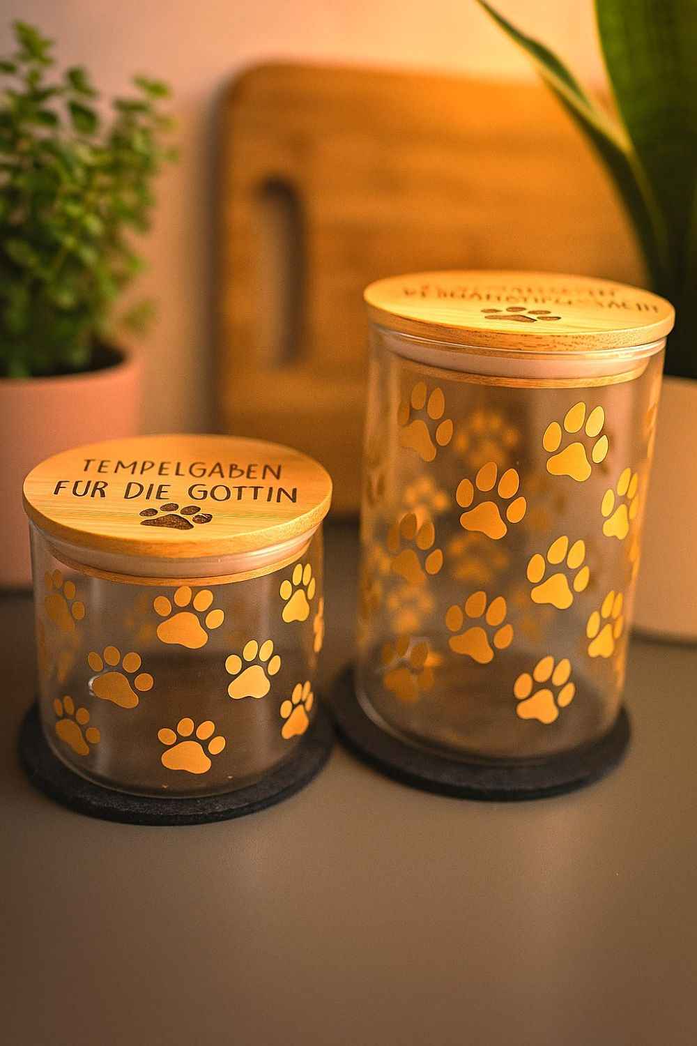Glasbehälter mit Bambusdeckel - stilvolle Leckerli-Dose für Hunde & Katzen - AC Designs